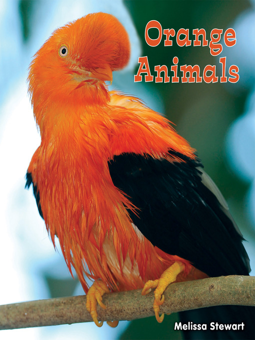 Cover image for Orange Animals